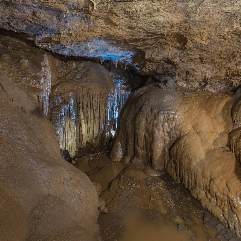 Siju Caves